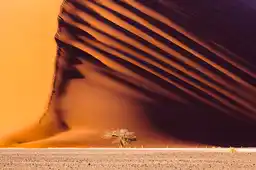 Ultimate Namibia Small Group Safari