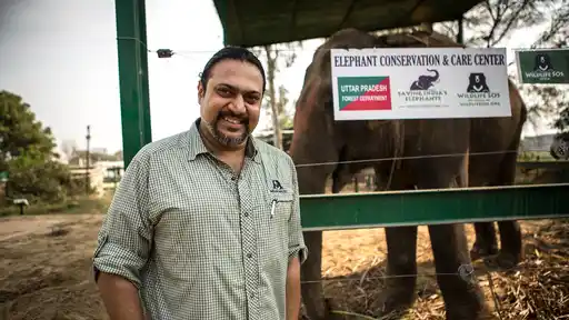 Kartick Satyanarayan
