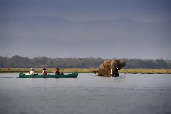 Zambezi Expeditions Mana Pools National Park Zimbabwe Safari Tented Camp African Bush Camps Canoe