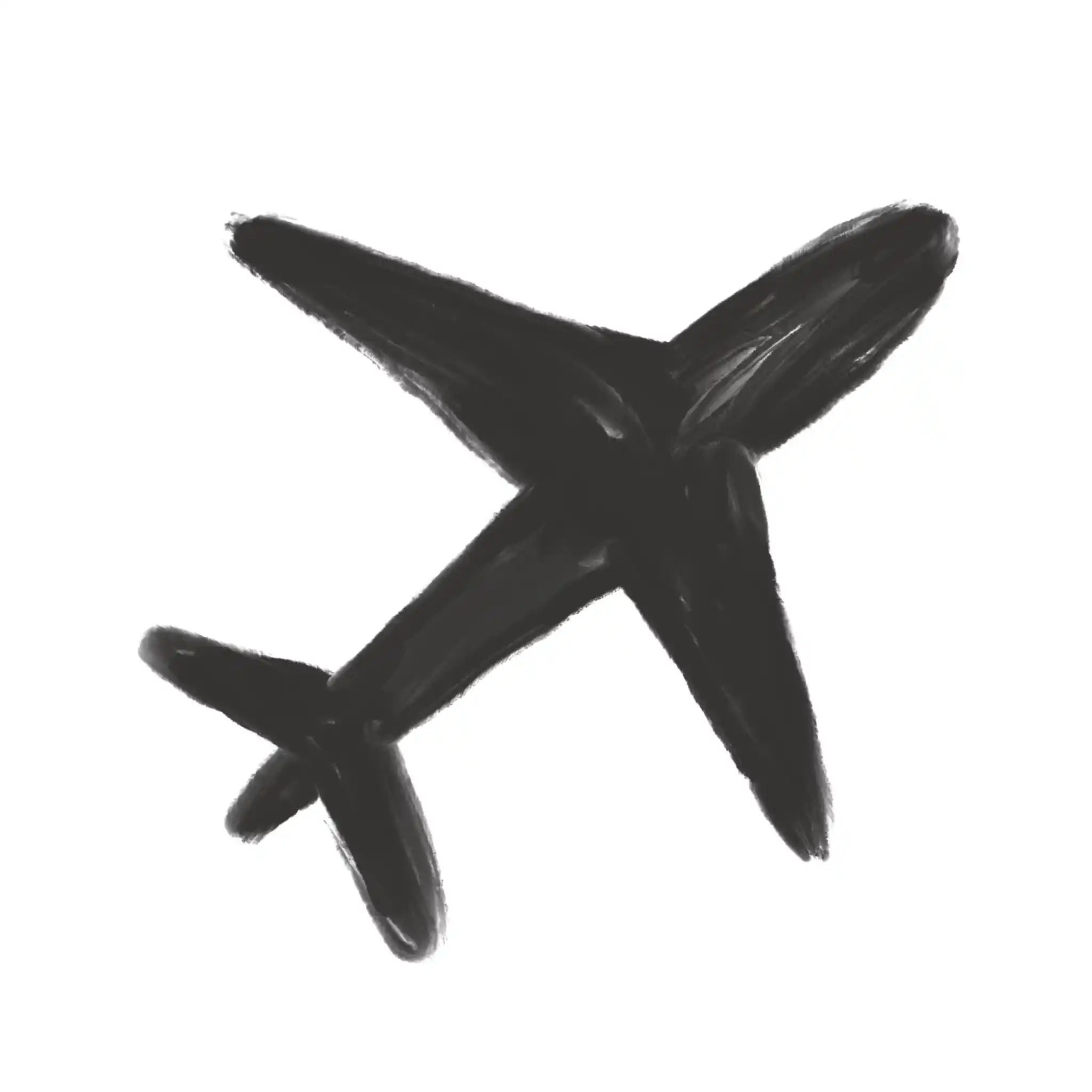 Plane Icon