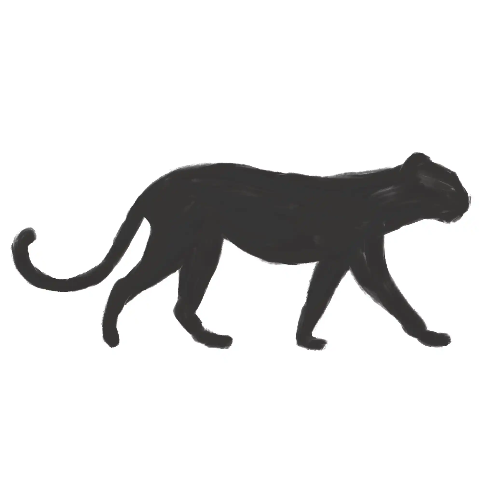 Big Cat Square Icon