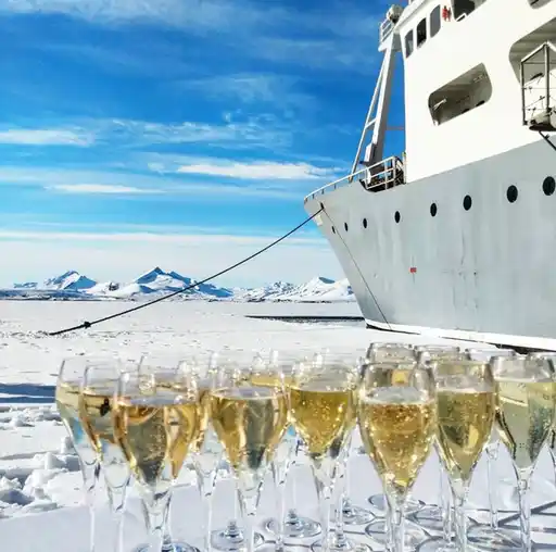 Champagne Banquise