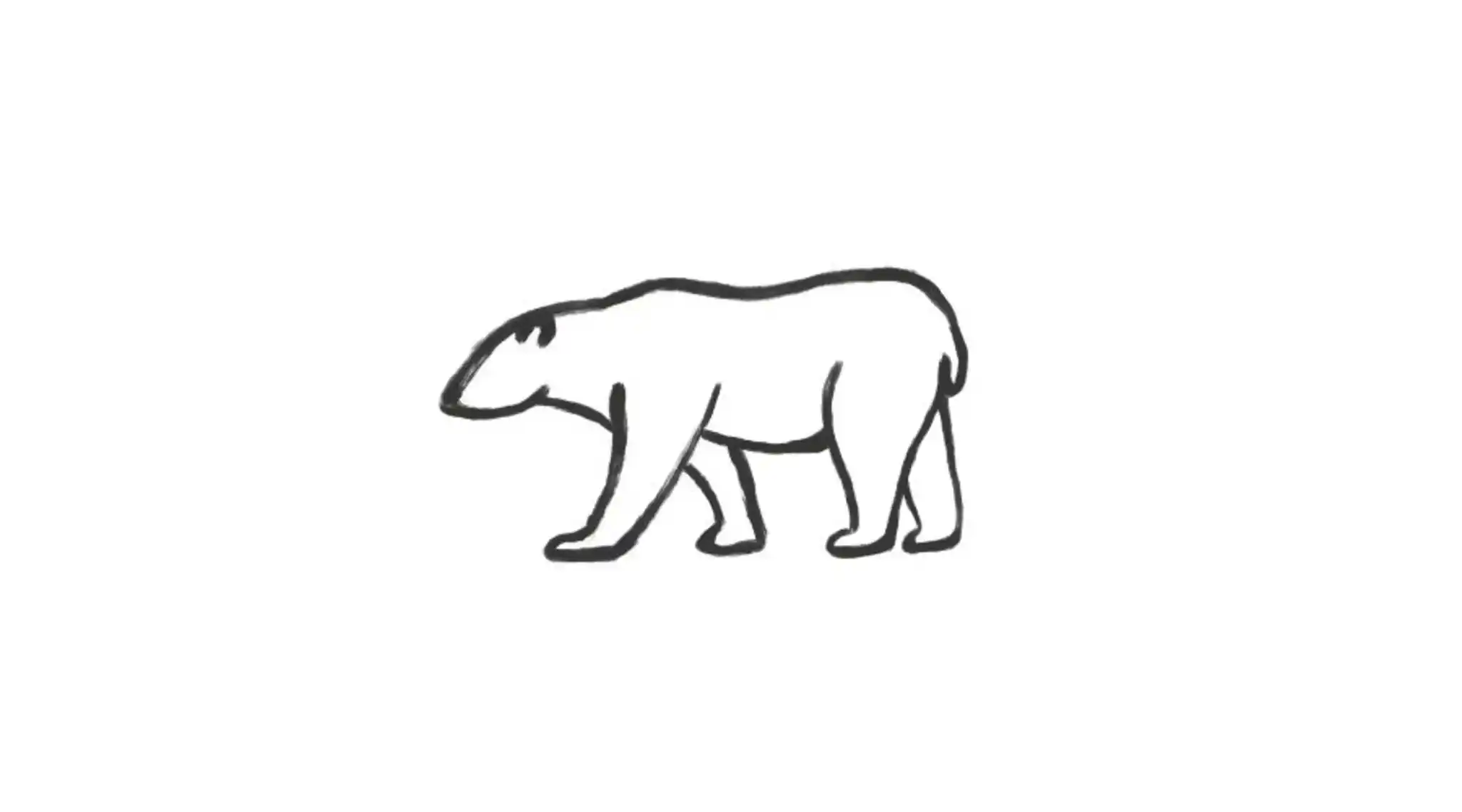Polar Bear Icon Why Nws