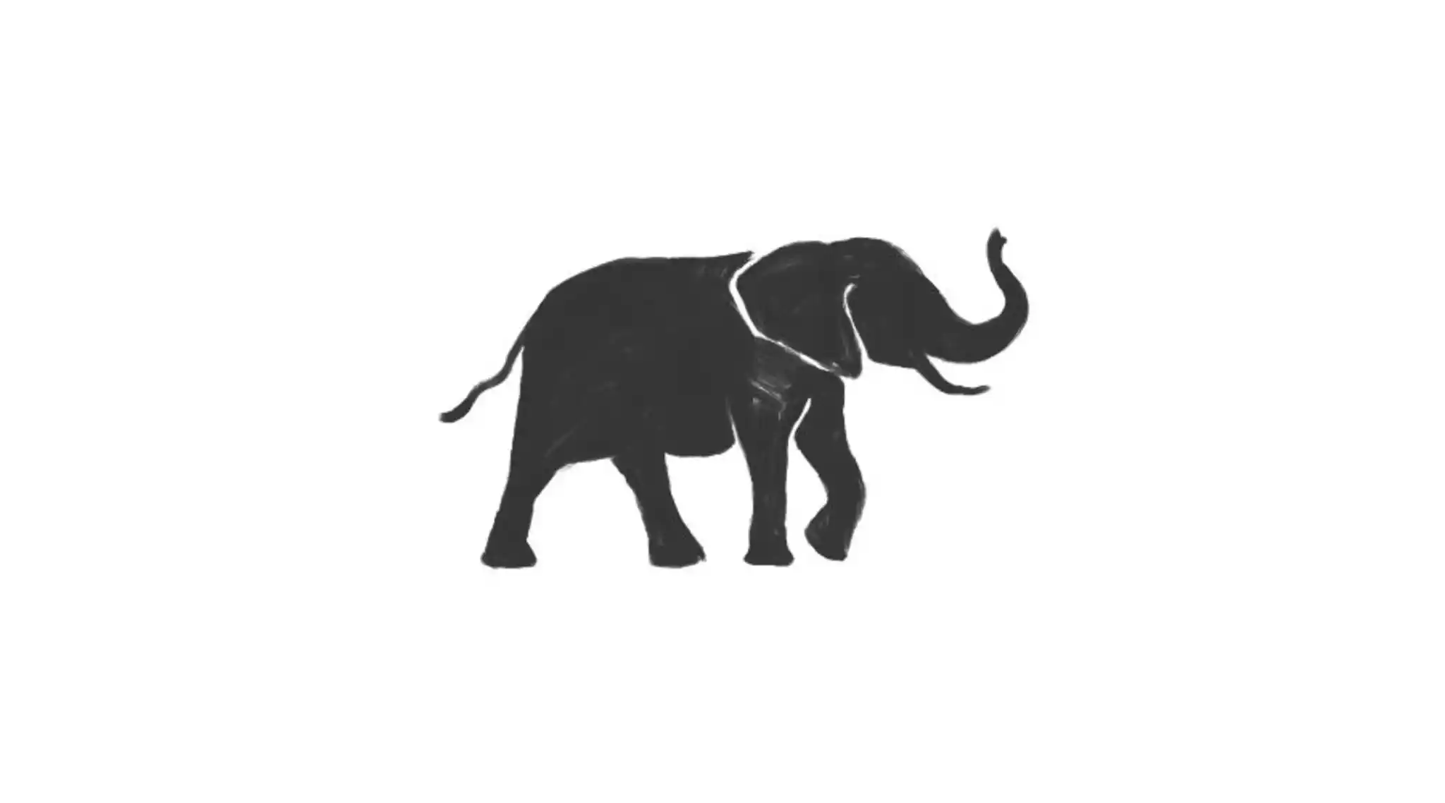 Elephant Icon Why Nws