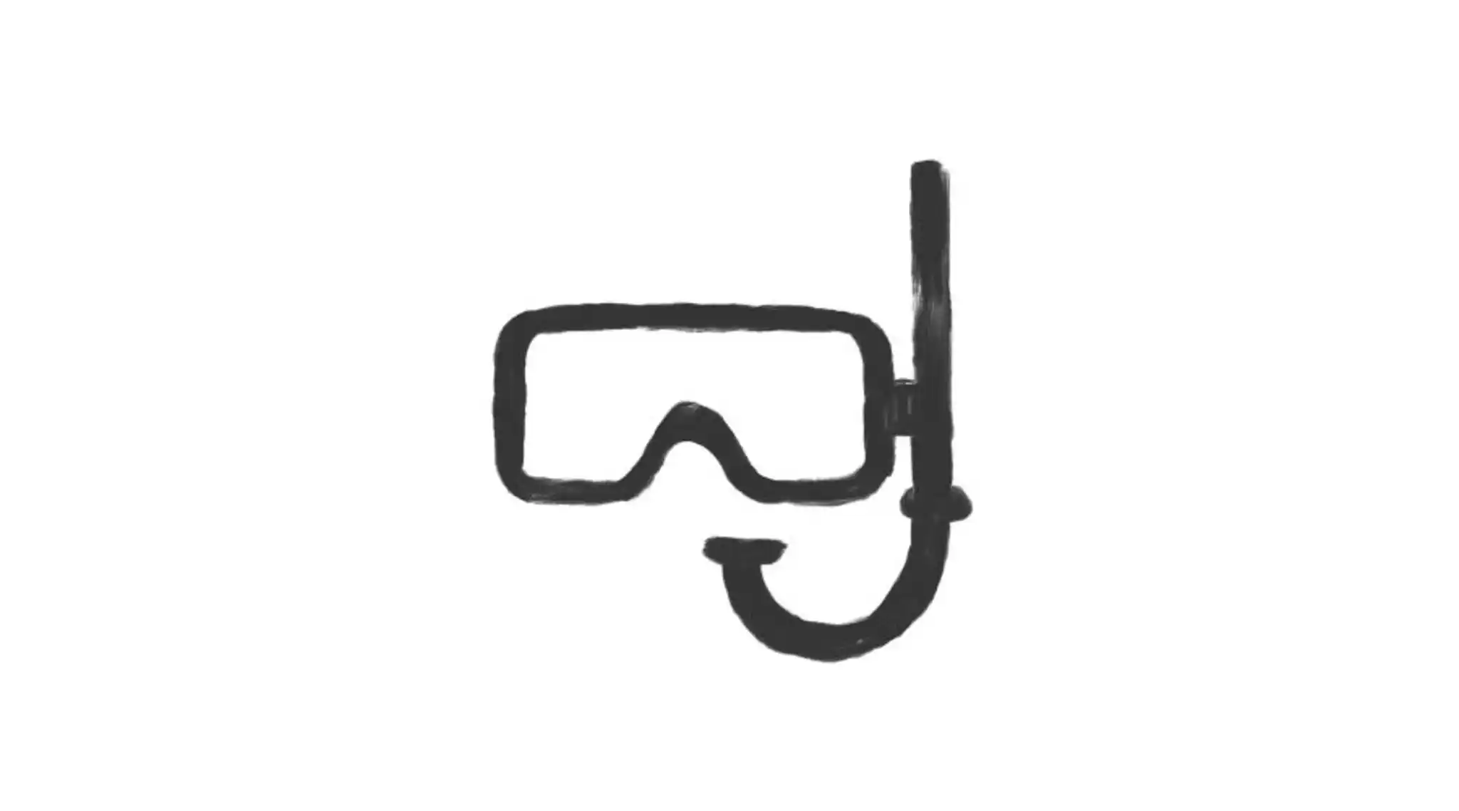 Snorkel Icon Why Nws