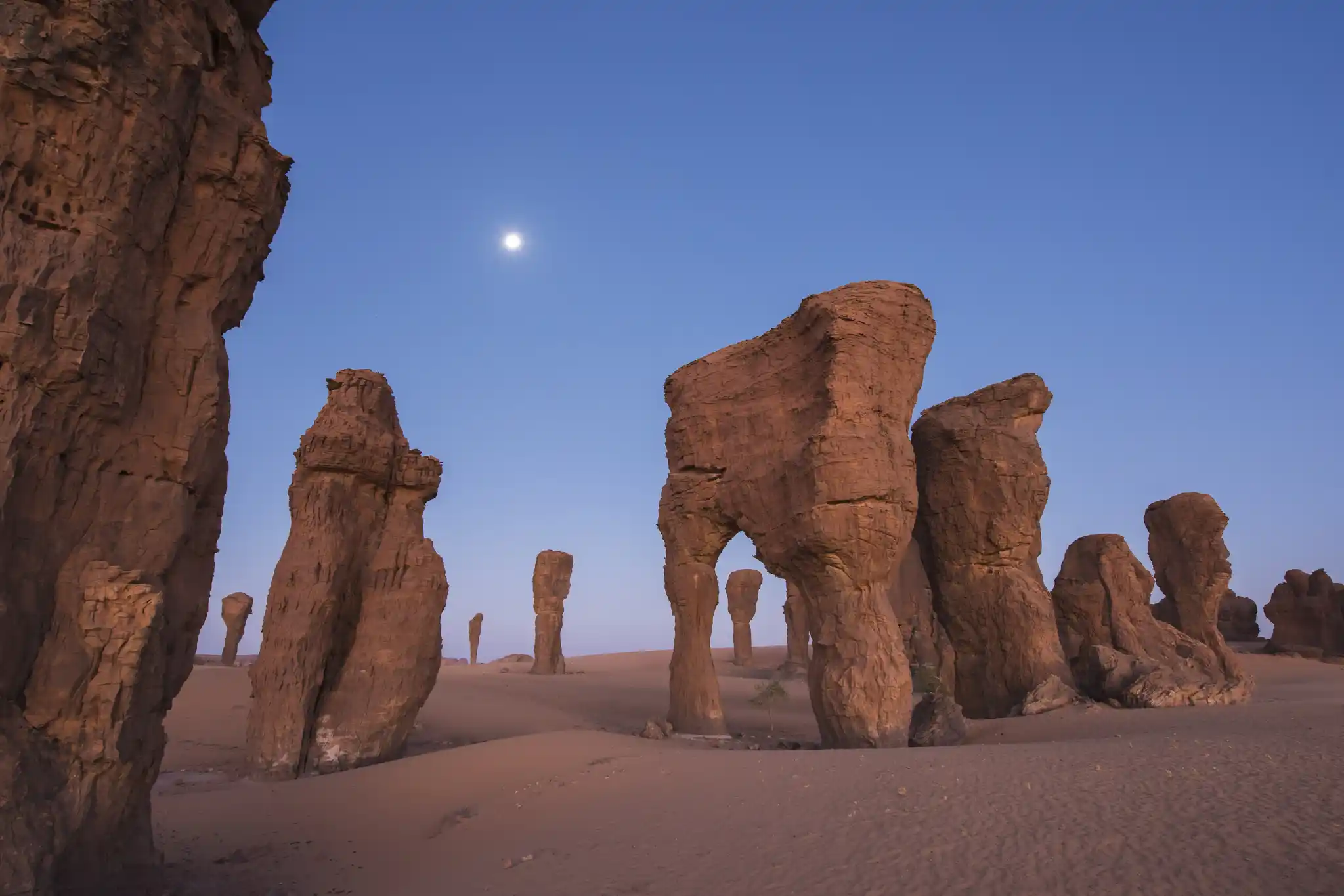 African Parks Ennedi Michae Viljoen