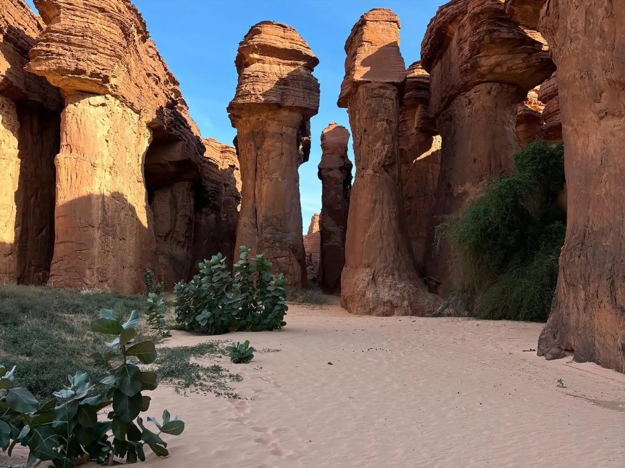 Ennedi Region Structure