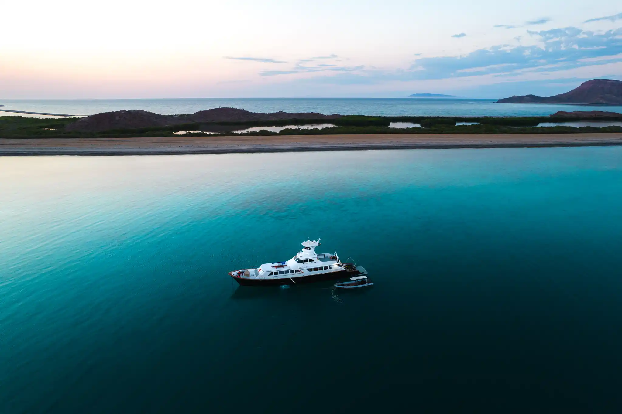 Gallant Lady Aerial Nautilus Images Baja Mexico