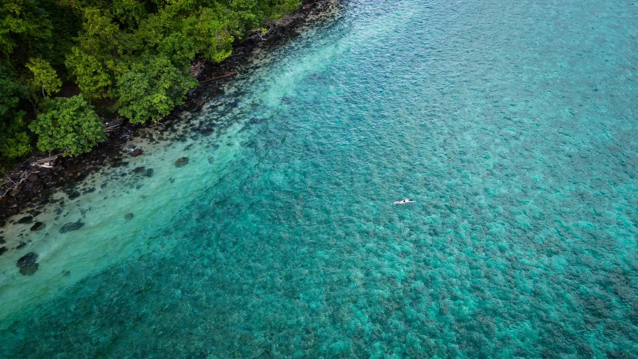 Aqua Blu Excursion Snorkelling Copia