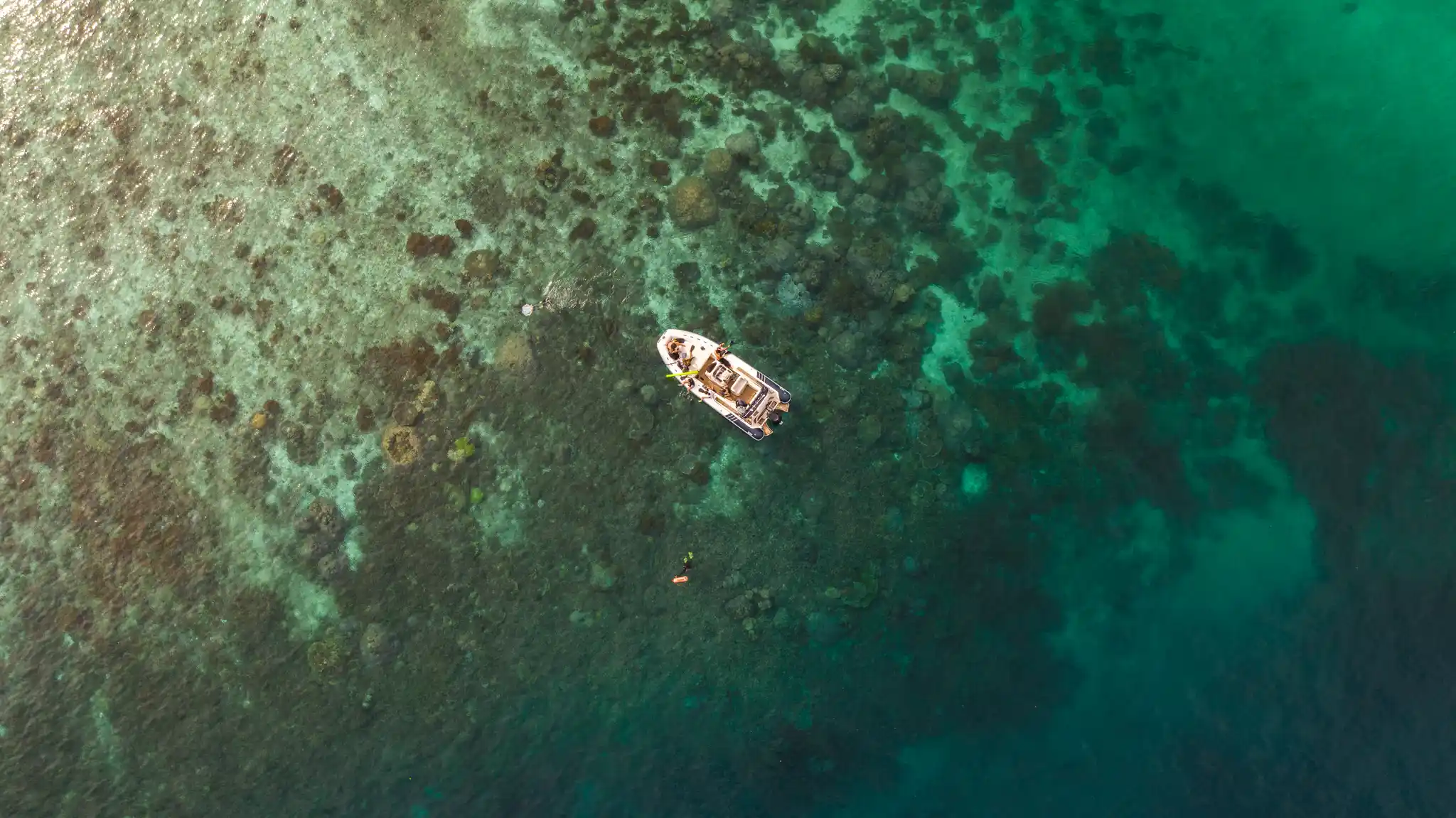 Aqua Blu Tender Tour