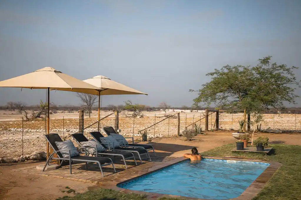 Gallery 1100X733 NAM Safari