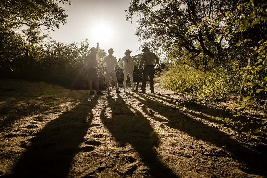 Singita Sabi Sand Bush Walk Adriaan Louw Sabi Sands South Africa Direct