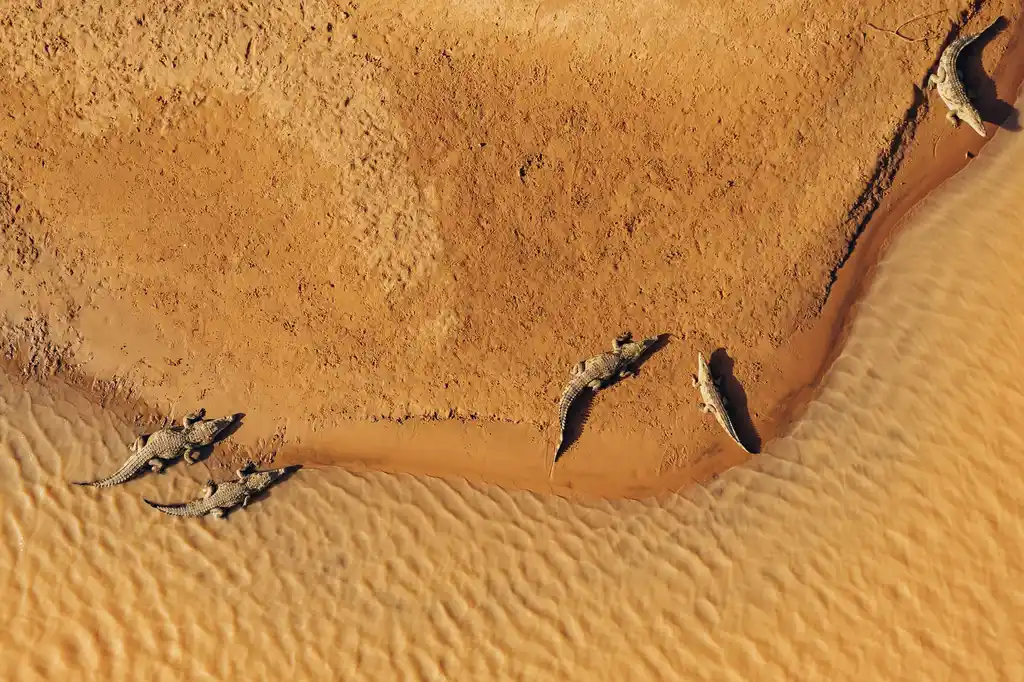 DJI Mauritania