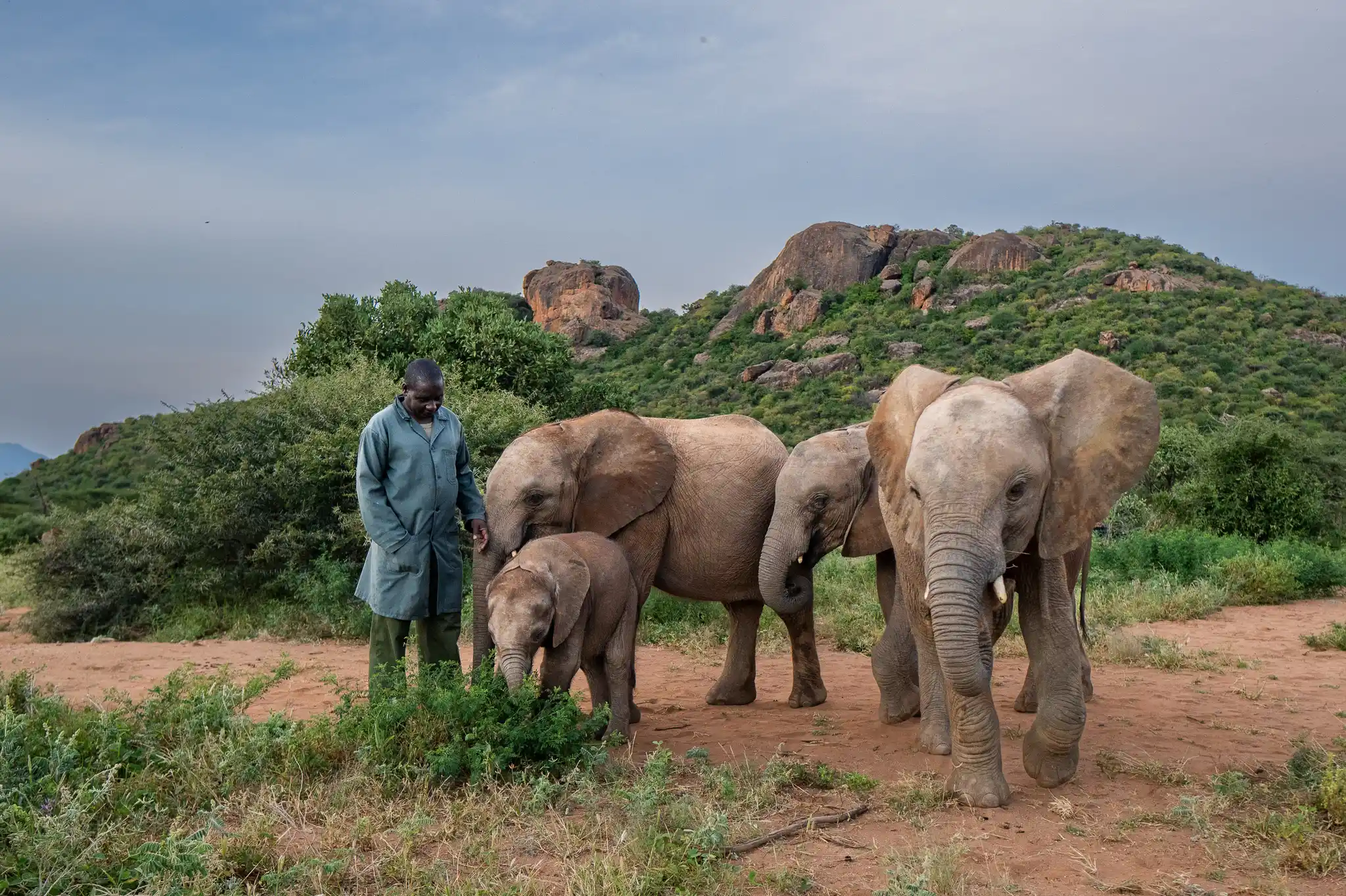 Sarara Reteti Imagebythigenjuguna