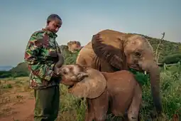 In the Presence of Giants