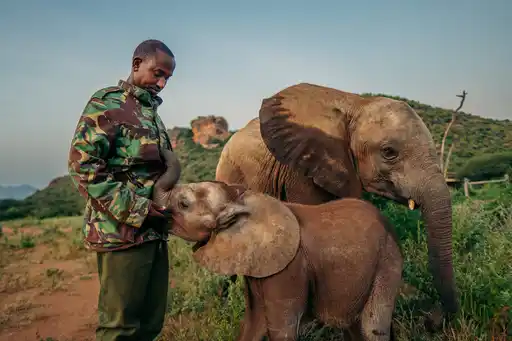 Sarara Reteti Imagebythigenjuguna