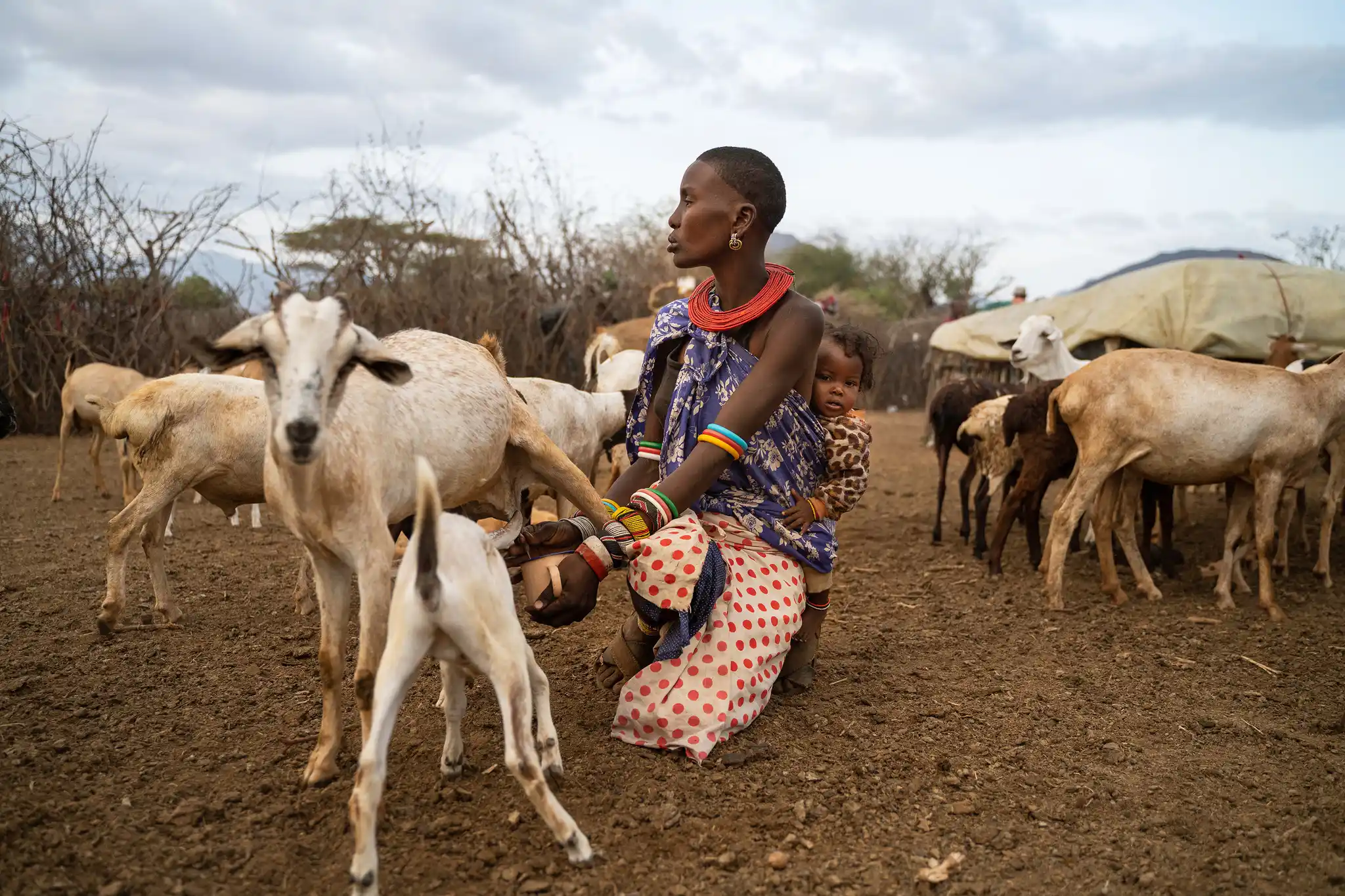 Thesararafoundation Milktomarket Imagebysimonpocock