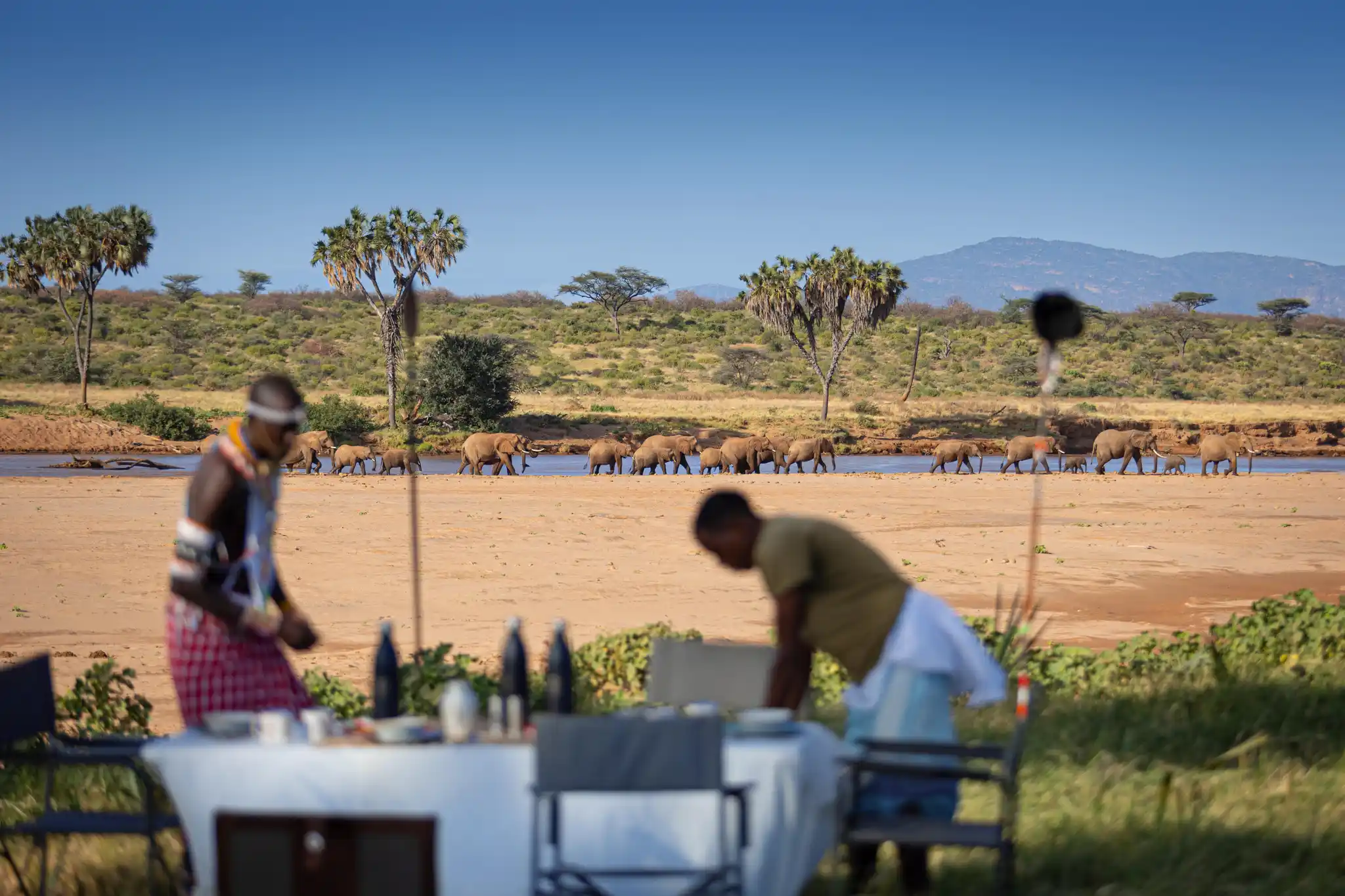 Sararawilderness Dining Imagebysteviemann