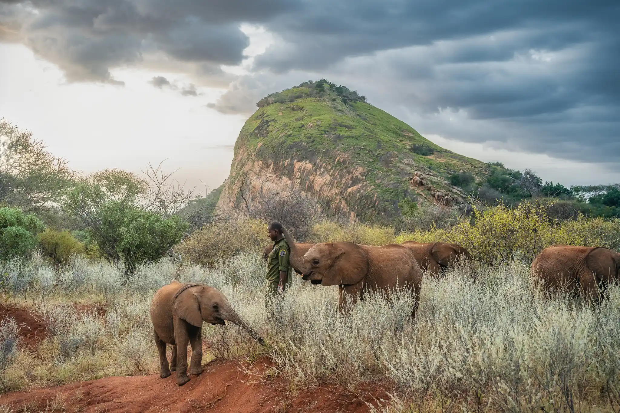 Sarara Reteti Imagebythigenjuguna