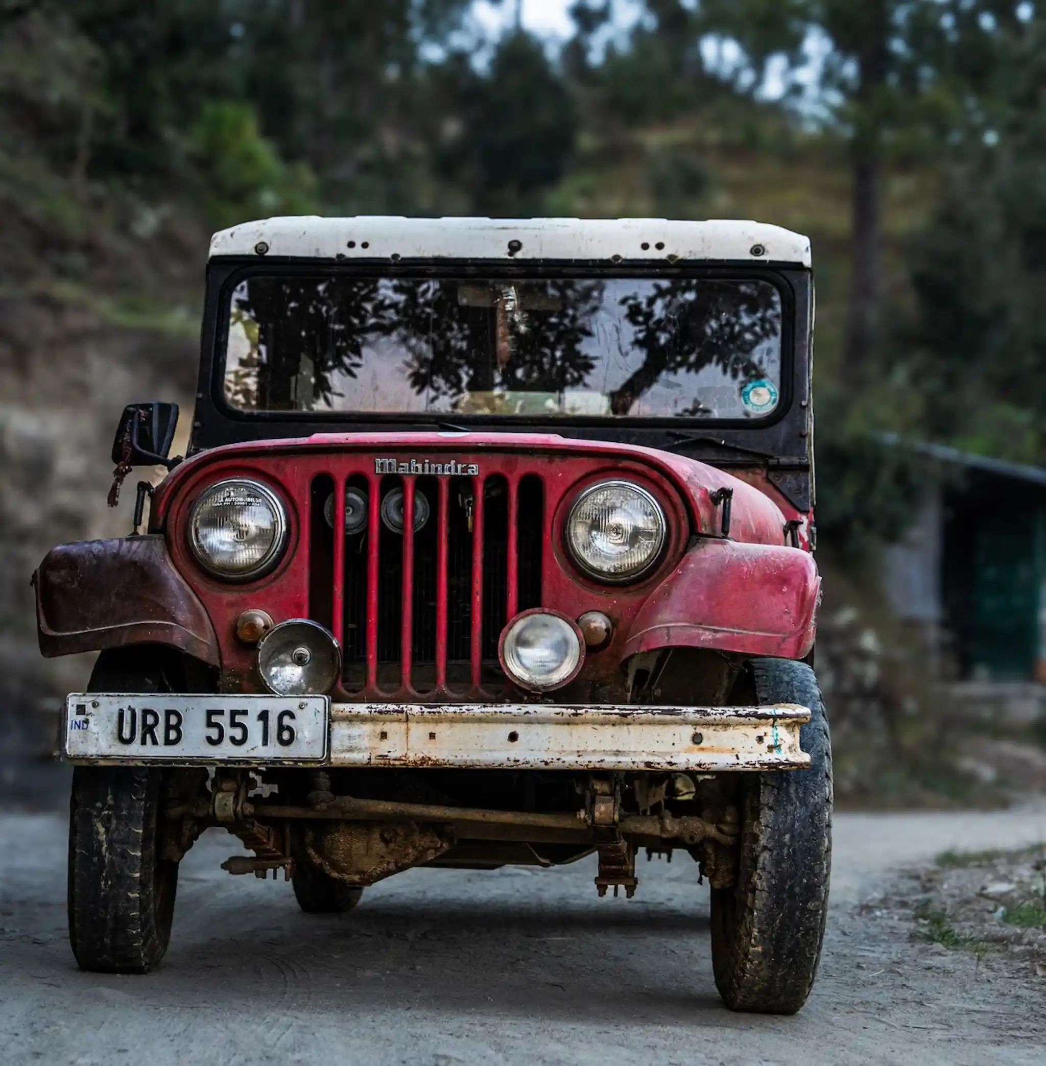 Car by Will Bolsover