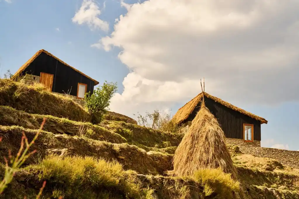 E84ef226 F3a6 A4a8 799C6e06