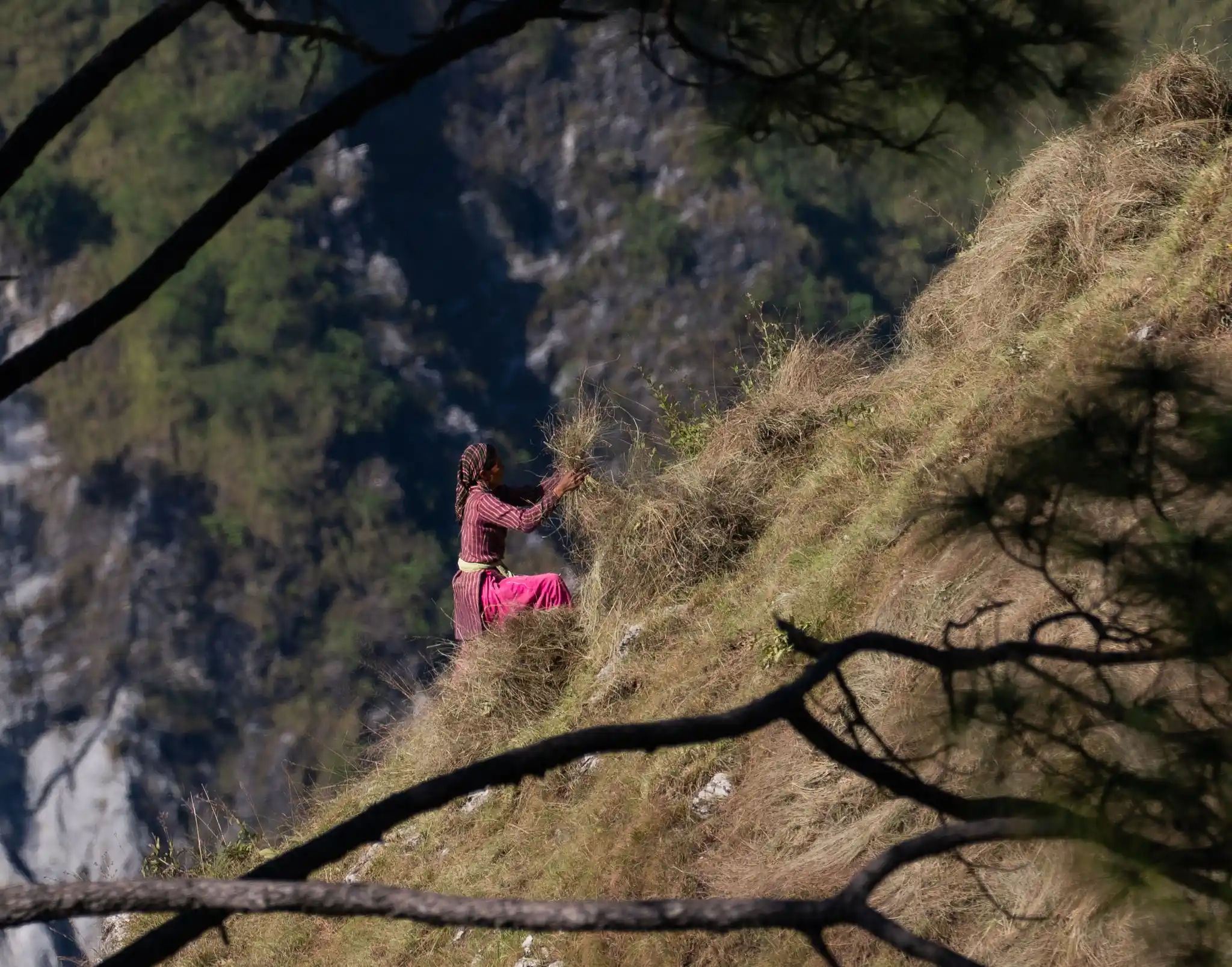 DSC04044 by Will Bolsover