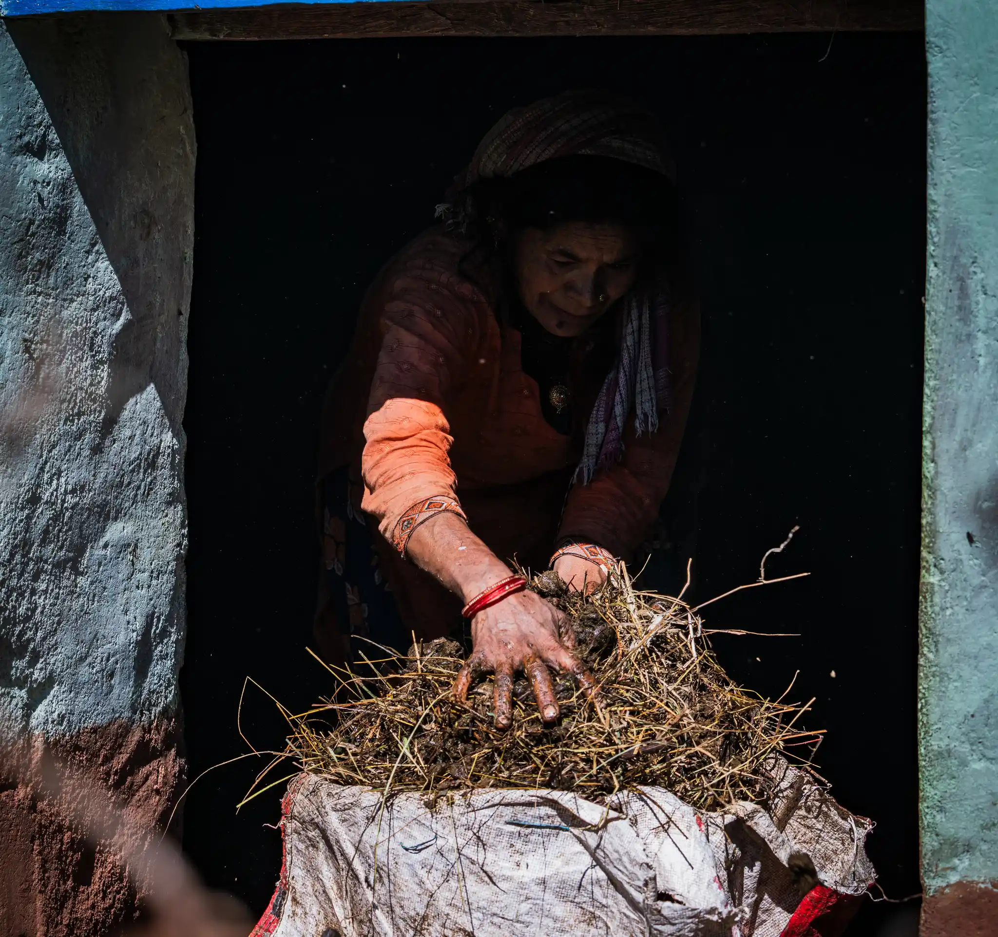 DSC04072 by Will Bolsover