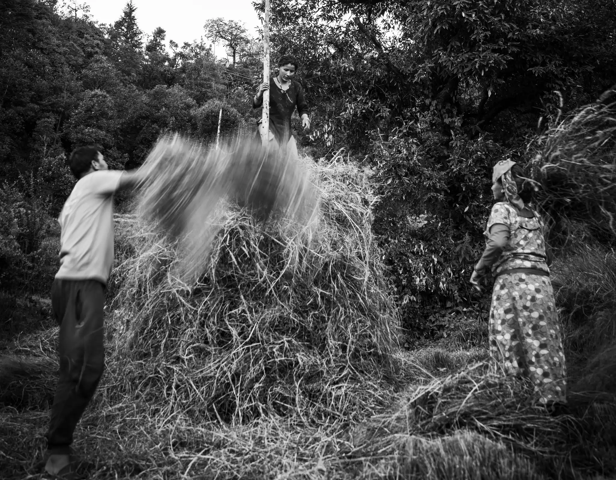 DSC09593 by Will Bolsover