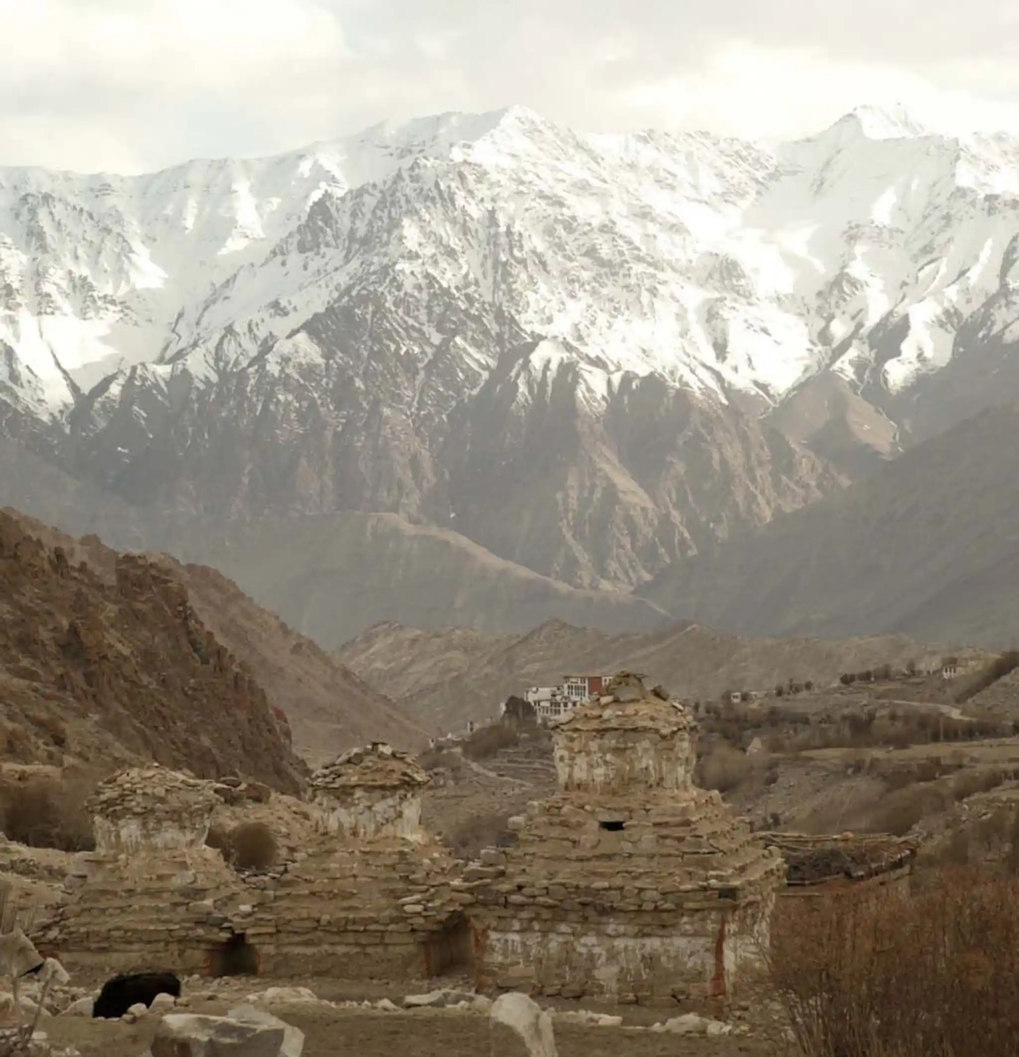 Cf3d4b E86dc174b83d48ad964b1df58