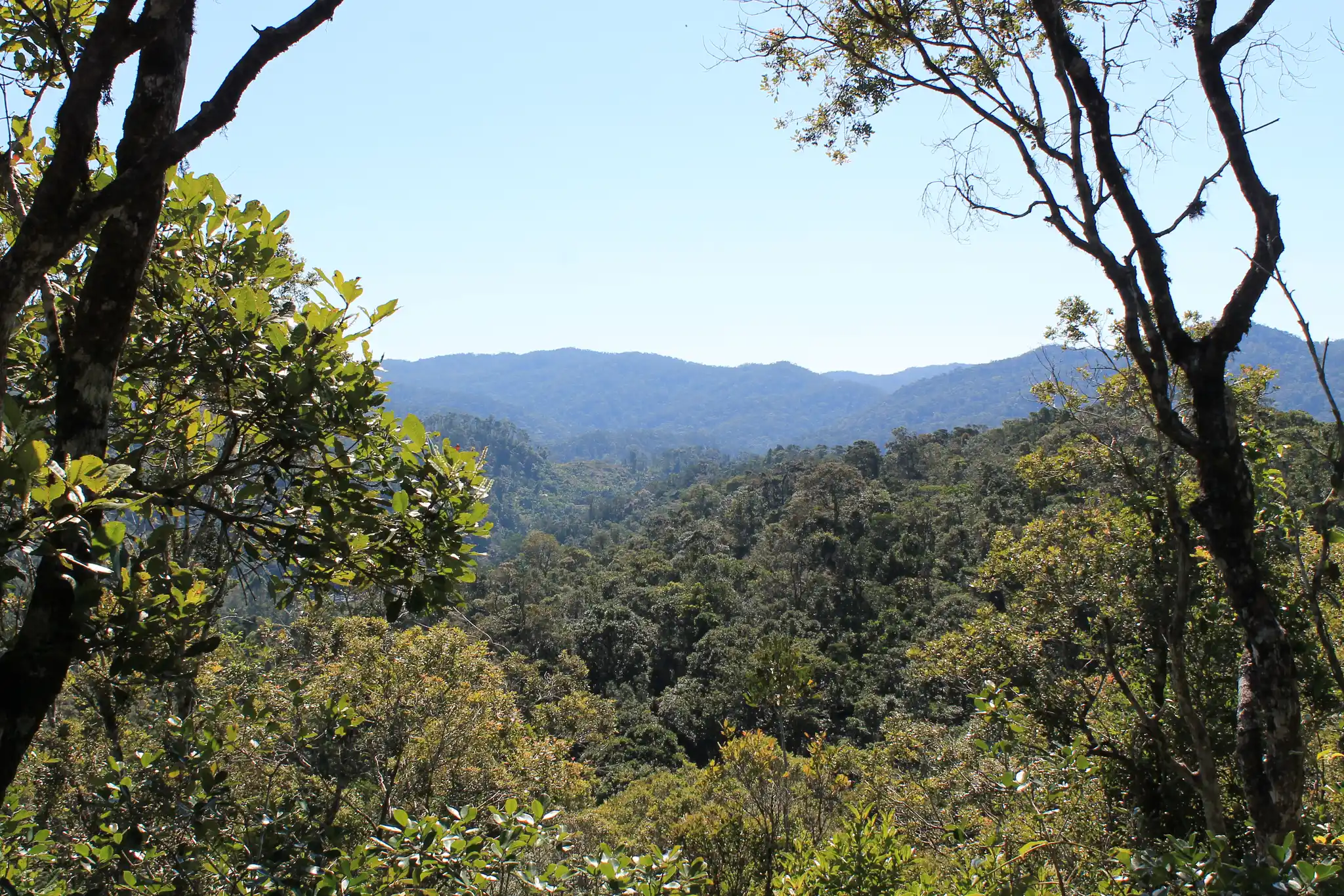 Madagascar Ranomafana National Park Landscape Arabella Lakin