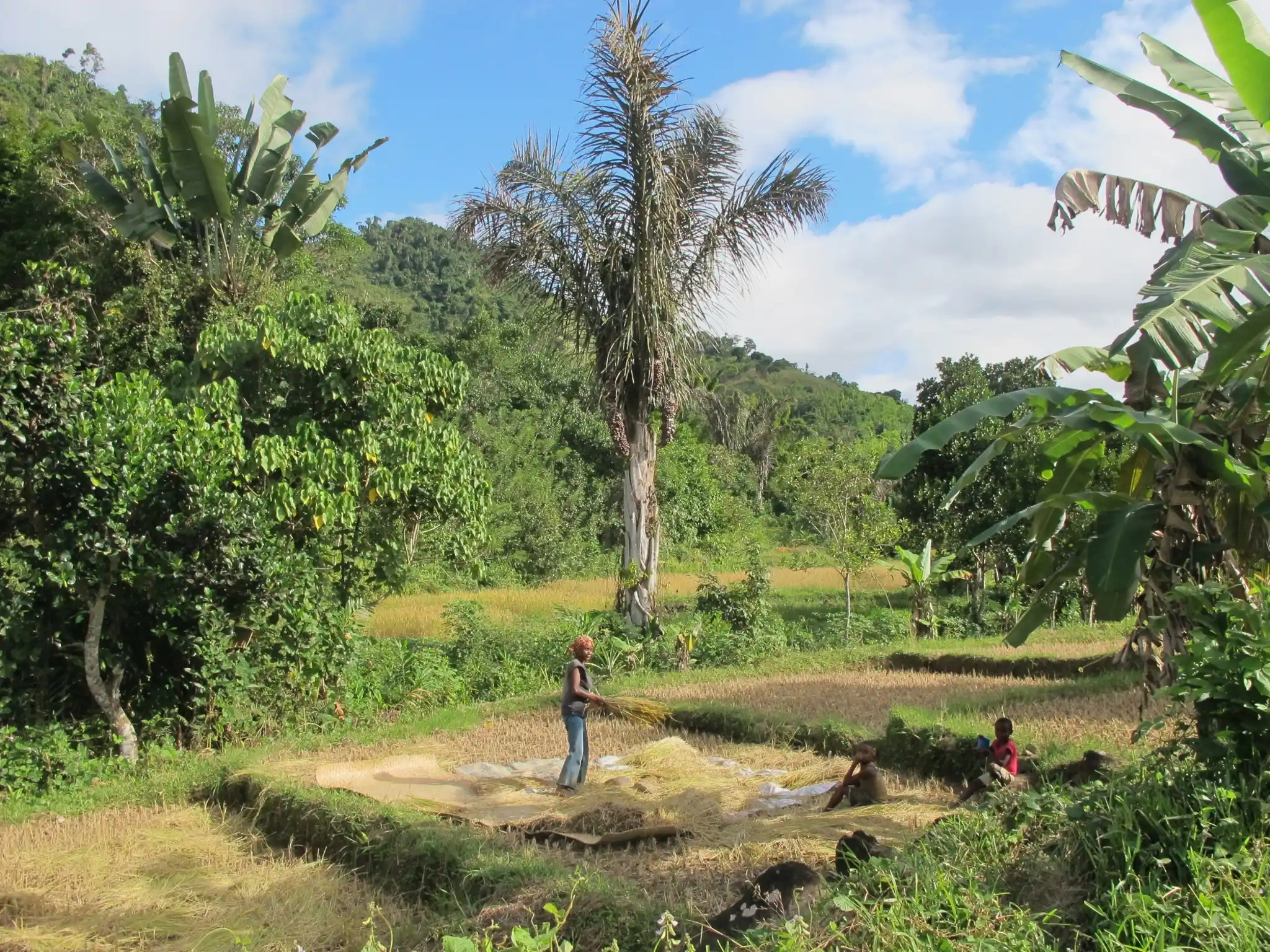 Marojejy National Park