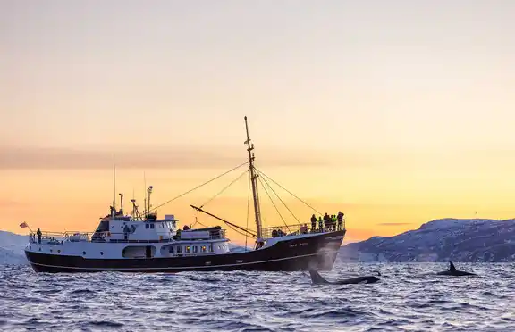 Impressionen Cr Nw Wale