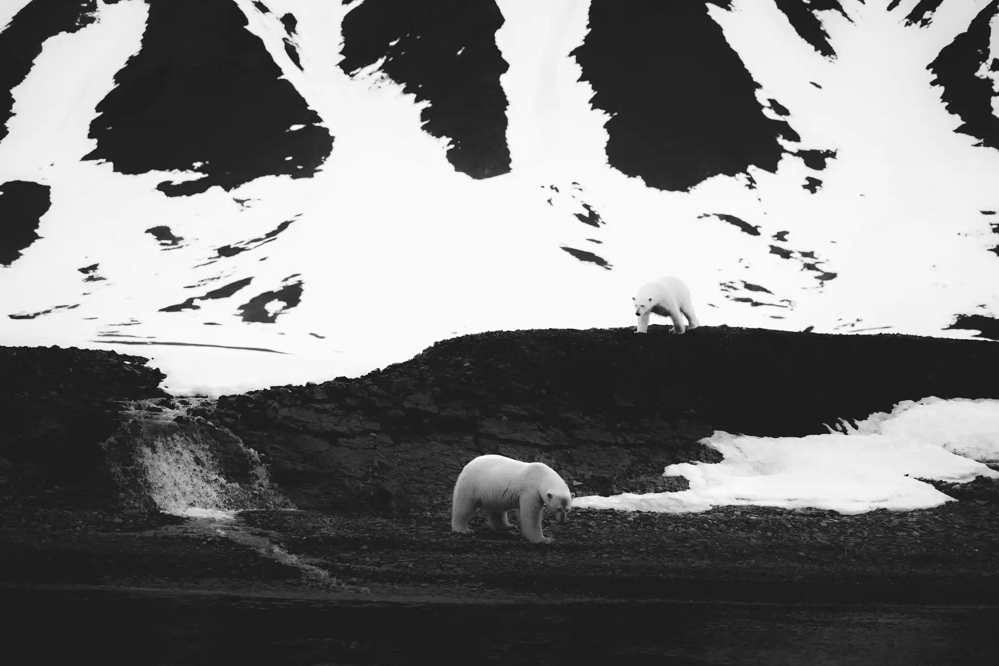 Svalbard Pieaerts