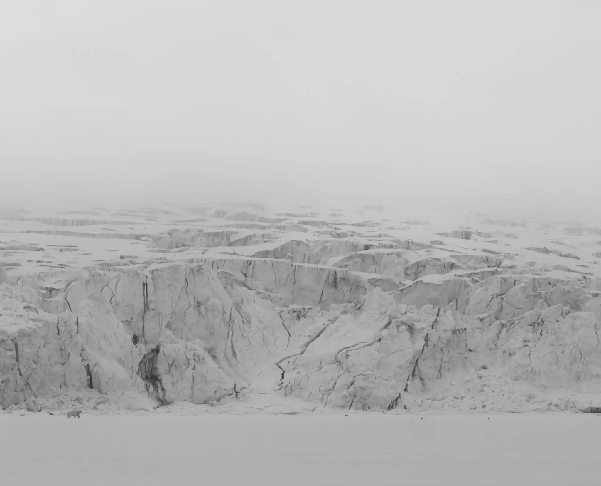 DSC03746 Svalbard23 By Will B