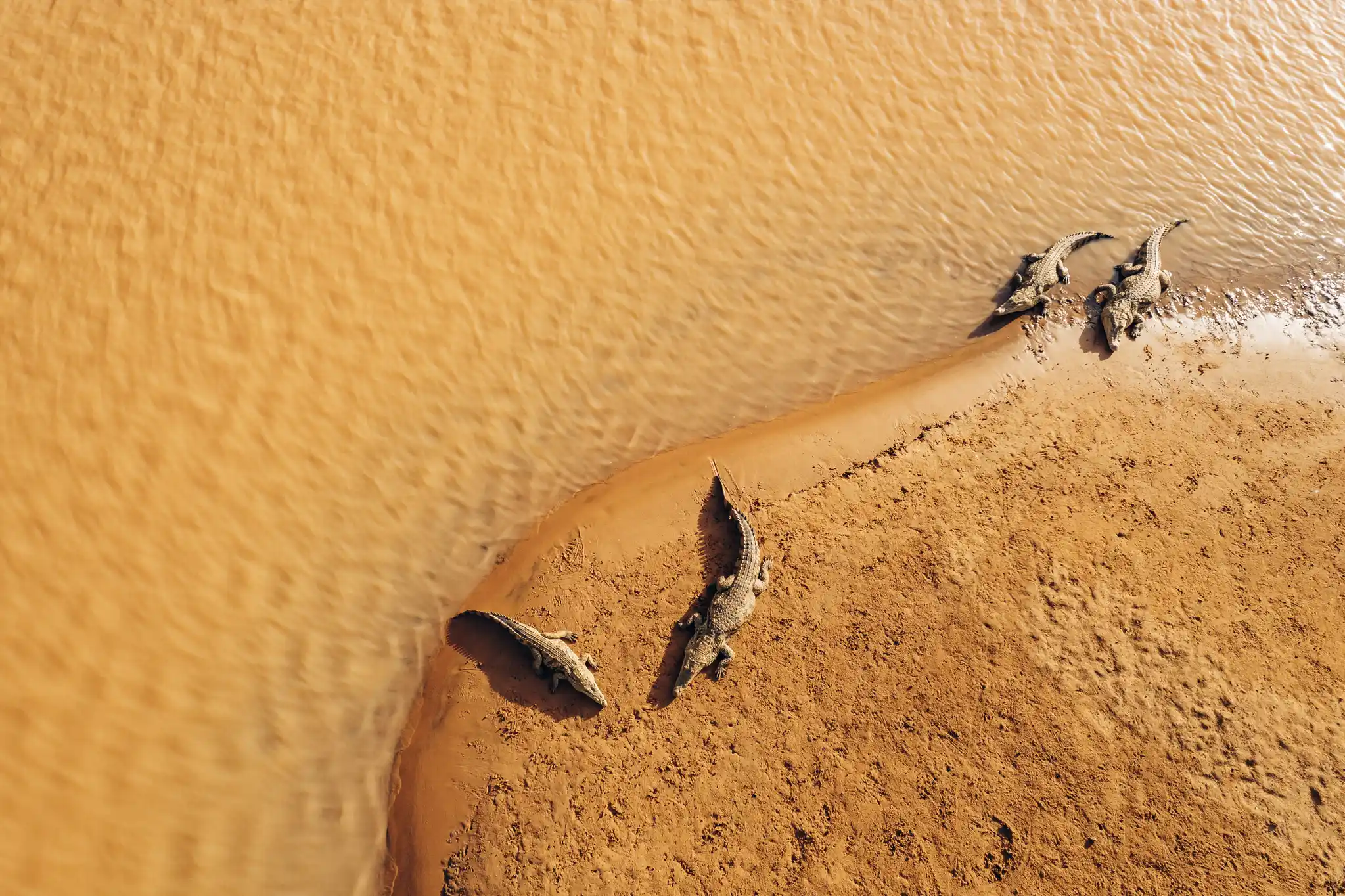 DJI Mauritania