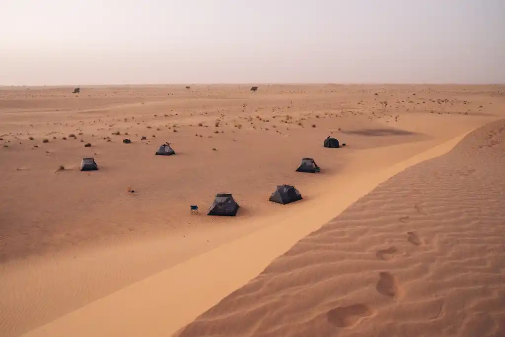 ETT02845 Mauritania