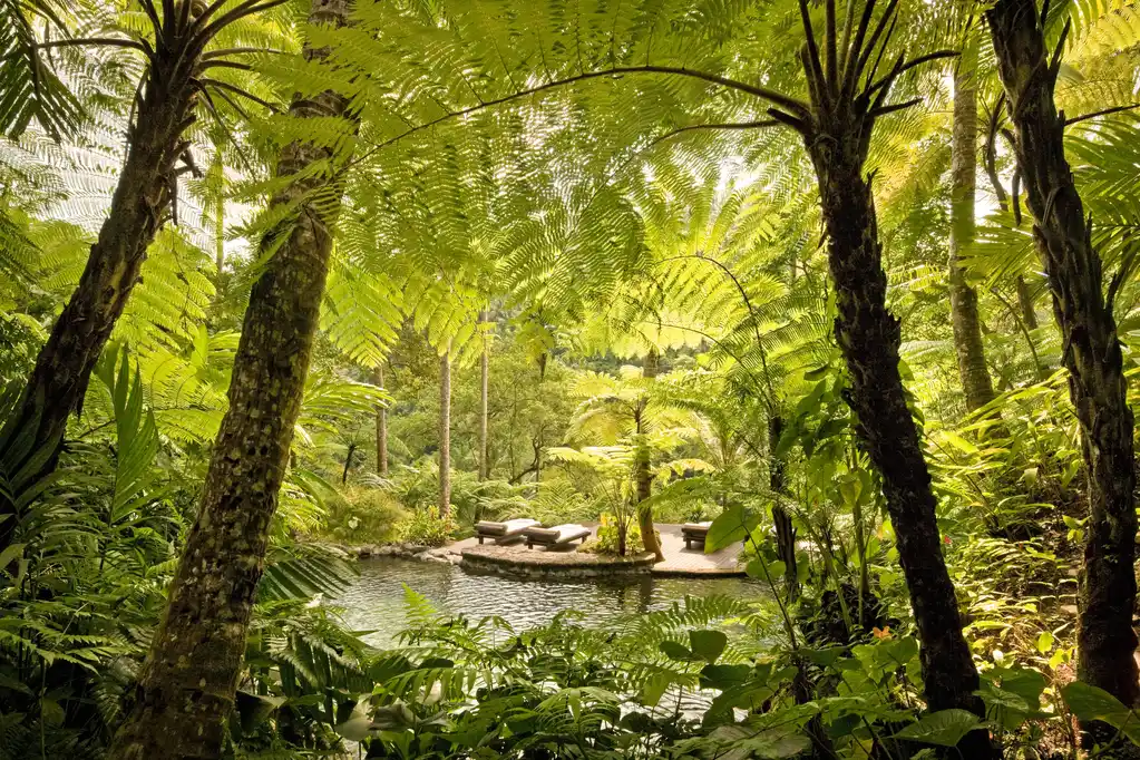 Kedara Water Garden Como Shambhala Ubud Indonesia Como