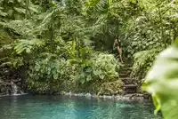 Natural Spring Pools At COMO Shambhala Estate Ubud Indonesia Como