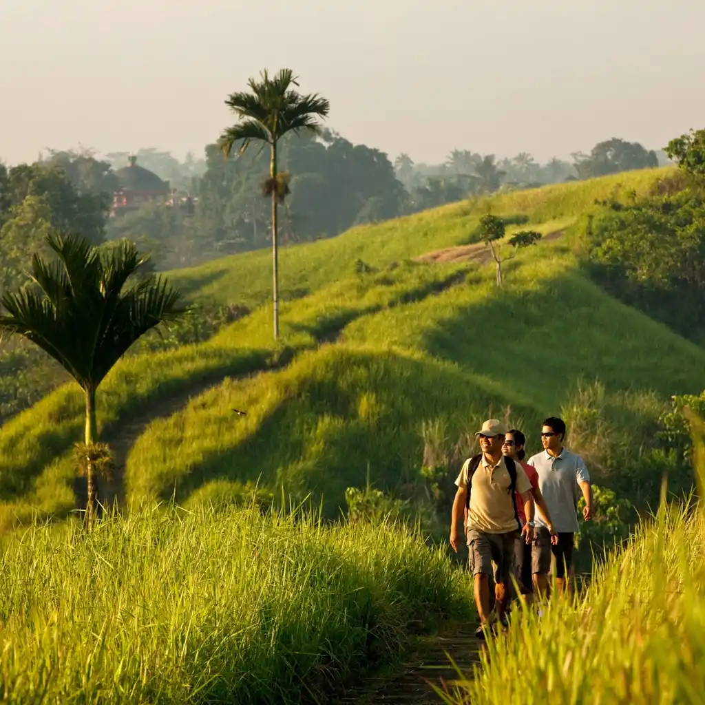 Como Uma Ubud