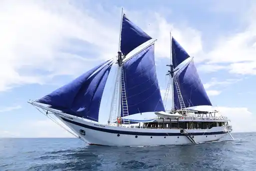 Ombak Putih External Indonesia Seatrek