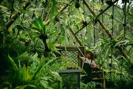Buahan Fireflies Ubud Indoesia Khiri