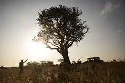Segera Kenya Crookesandjackson