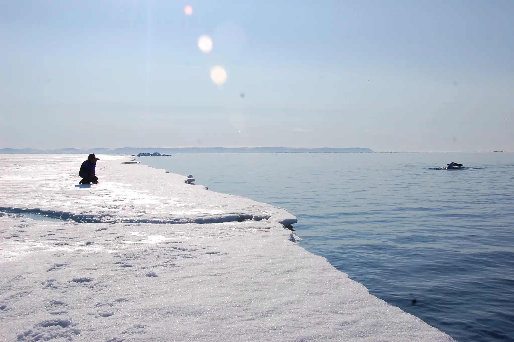AK Watching Narwhal At Floe Edge DSC
