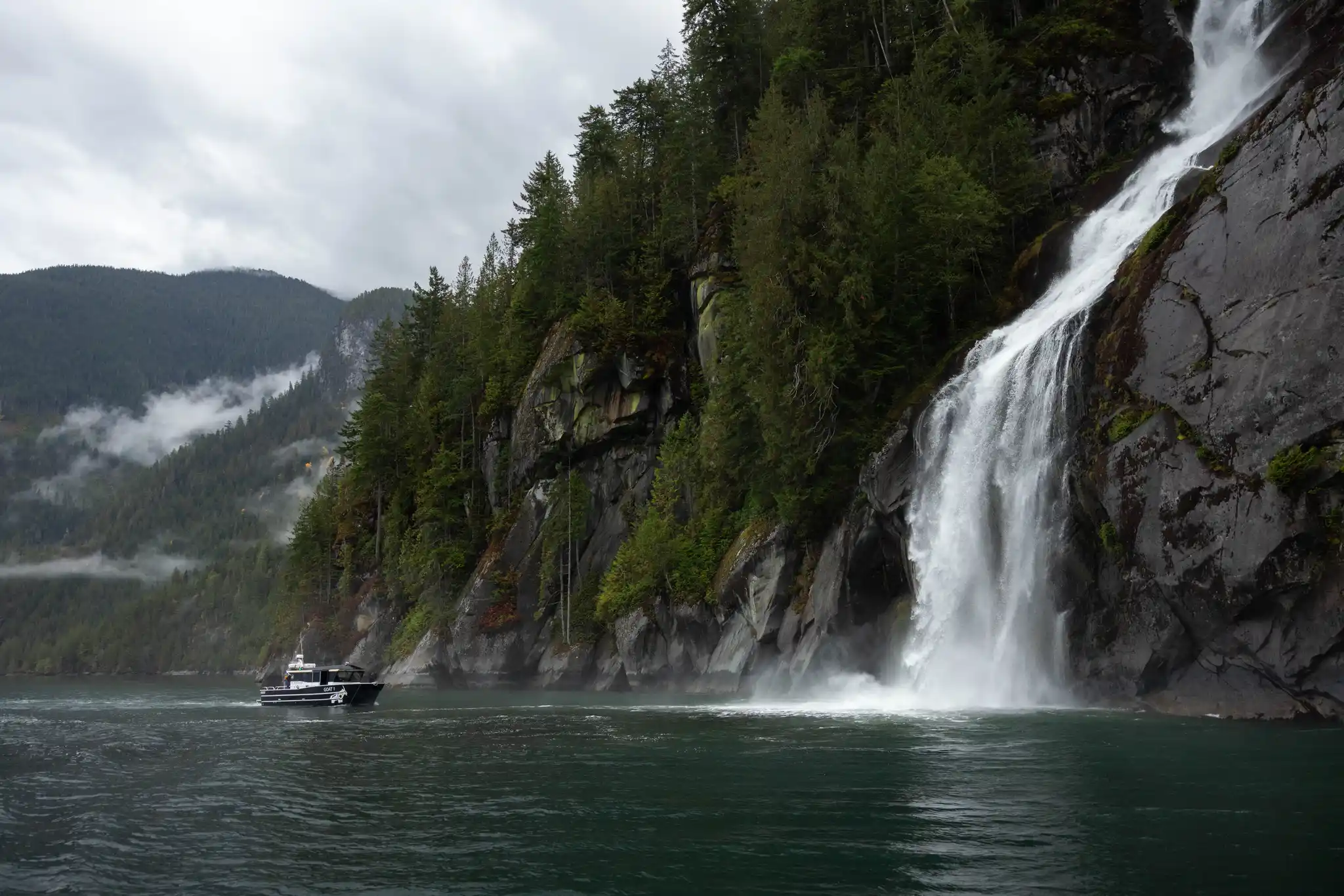 Whales Wildlife And Waterfalls Tour