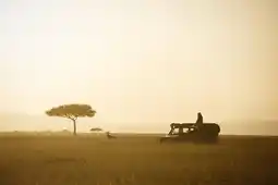 Dsc
