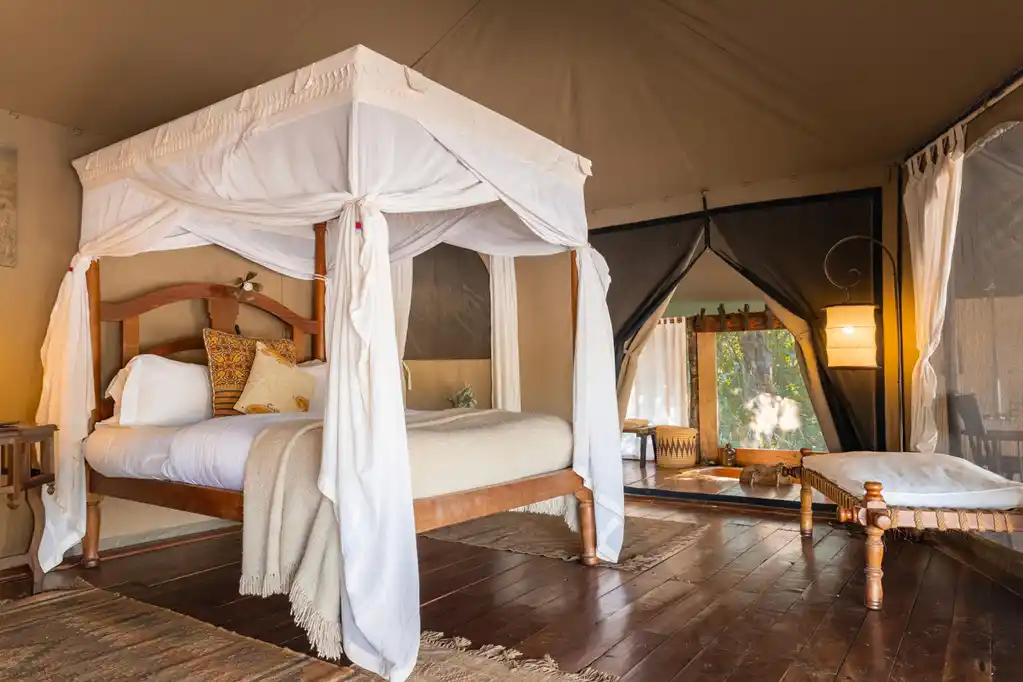Tent Interior