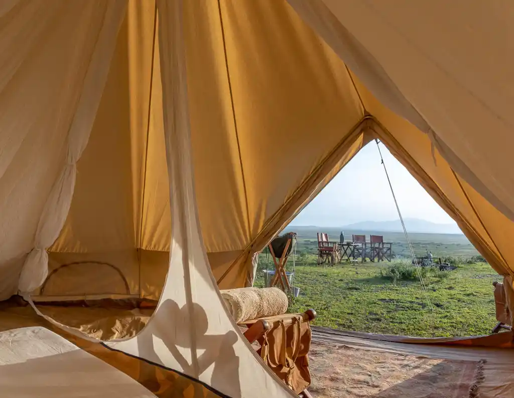 Fly Camping Accommodation Bedroom Interior