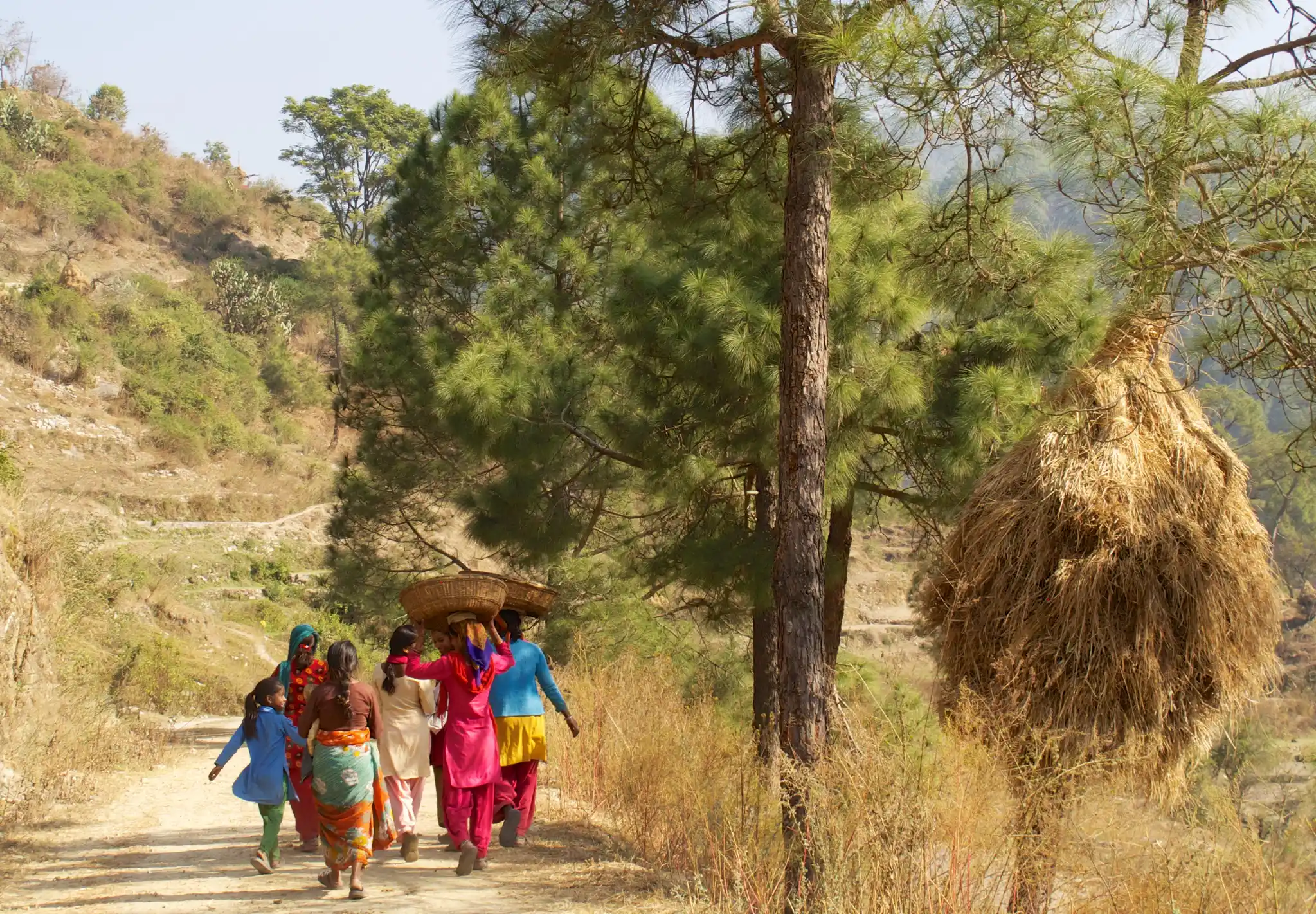 Local Life In Kumaon