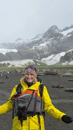 With Penguins