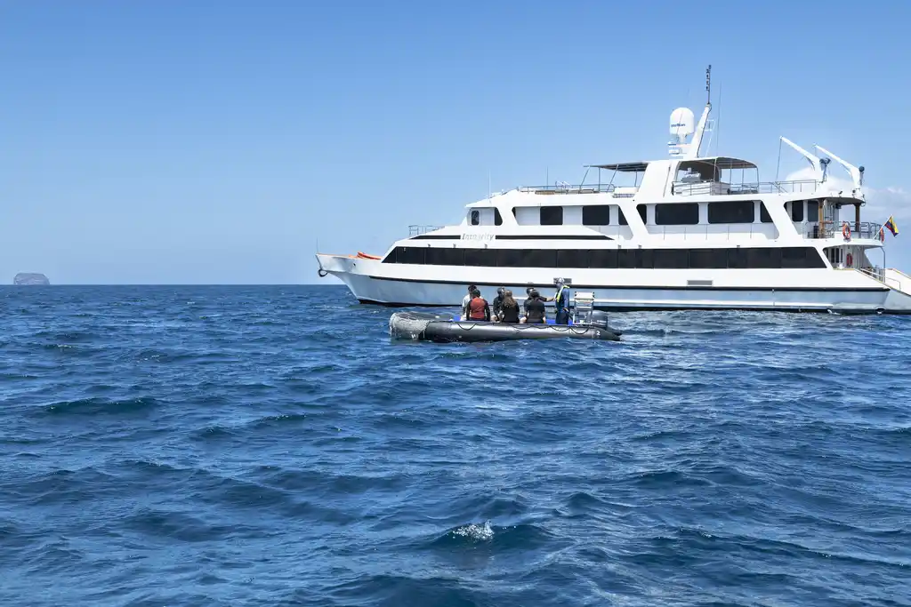 Snorkel Panga Profile P9A9995 INTEGRITY